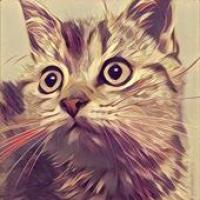 Изображения Prisma Photo Artworks на ПК с Windows