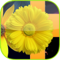 Fleur Piano 2020 Apk