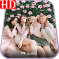 Blackpink Wallpaper HD 2019 - All Member Apk