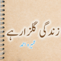 Zindagi Gulzar Hai Urdu Novel by Umera Ahmad Apk