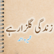 Zindagi Gulzar Hai Urdu Novel by Umera Ahmad APK