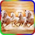 Horse Live Wallpaper Apk