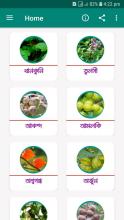 হারবাল চিকিৎসা APK Download for Android