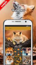 Fox Wallpaper APK Download for Android