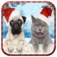 Christmas Photo Frame 2020 APK