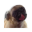 Pug Licking Live Wallpaper Download on Windows