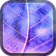 Neon Leaves Live Wallpaper APK