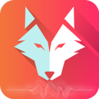 Bakko Music APK Covergestaltung