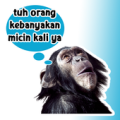 Stiker Hewan Apk