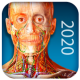 Atlas of Human Anatomy 2020 APK