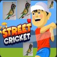 Изображения Mitro Street Cricket на ПК с Windows