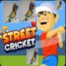 Mitro Street Cricket Game icon