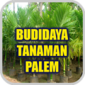 Budidaya Tanaman Palem Apk