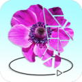 Flowers 3D Poly sphere Apk