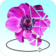 Flowers 3D Poly sphere APK