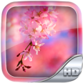 Sakura Wallpaper HD Apk