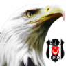 Beşiktaş Canlı Duvar Kağıdı Application icon