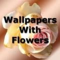 Wallpapers With Flowers Apk