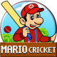 Mario Cricket World APK