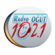 Öğüt FM APK