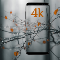 Live 4K Wallpapers 2020 : Ultra HD backgrounds APK 포스터