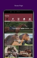 EQHQ APK صورة لقطة الشاشة #2