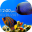 iAquarium Lock Screen Download on Windows