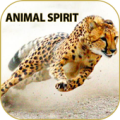 Sprit Animal Apk