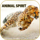 Sprit Animal APK