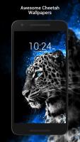 Cheetah Wallpapers HD APK צילום מסך #3