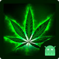 Weed Rasta Launcher Theme Apk