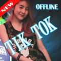 DJ TikTok Viral 2019 Mantap + OFFLINE Apk