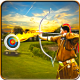 OLYMPICS 2016 ARCHERY : RIO APK