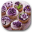 کیک و شیرینی سریع،آموزش پخت کیک و شیرینی Download on Windows