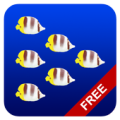 Fish swarm Live Wallpaper FREE Apk