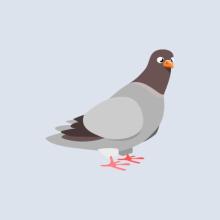 Pigeon Hit Squad (Unreleased) APK Download for Android