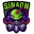 SINAON VPN OFFICIAL Download on Windows