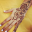 Mehndi Designs For Engagement Download on Windows