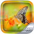 Butterfly Wallpaper HD Apk