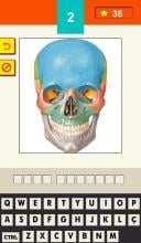 Quiz Anatomia Humana - Lite (Unreleased) APK Download for Android