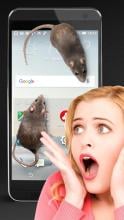 Mouse on Screen Scary Joke APK Download for Android