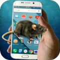 Mouse Screen Apk