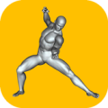 Street Fighting Techniques Apk