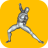 Street Fighting Techniques Application icon