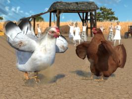 Farm Chicken vs Wild Rooster: Angry Cock Fighting APK Ekran Görüntüsü Küçük Resim #9