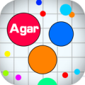 Pocket Agar Apk