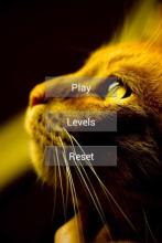 Spot The Cat 2 APK Download for Android