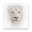 Truyện Tranh For Boy - Lion Download on Windows
