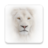 Truyện Tranh For Boy - Lion Application icon