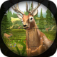 Deer Shooting Game : Animal Hunting Sniper Shooter APK